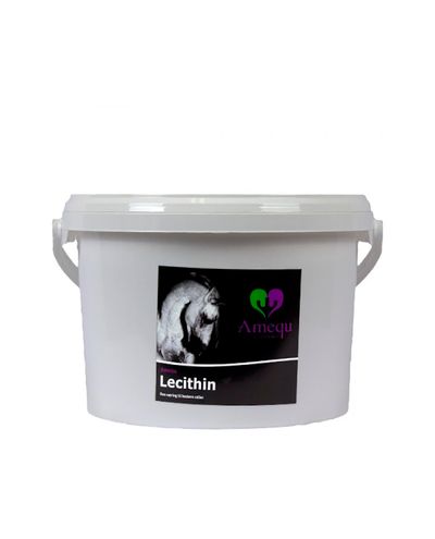 Lecithin (2.8kg)