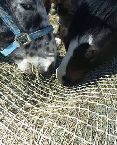 Slow Bale Buddy (Mini)