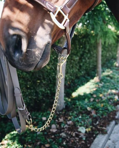 Stallion Chain (60cm)
