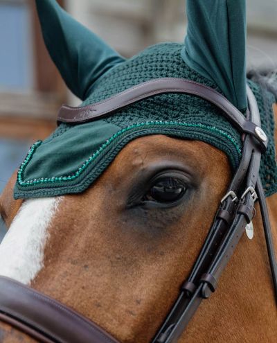 Wellington Basic Velvet Pearls Pine Green Ear Net (Full)
