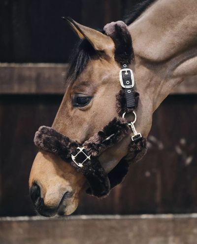 Sheepskin Shipping Halter Brown