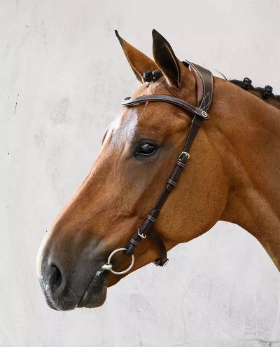 Helsinki Brown BridlePS of Sweden