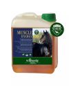Muscle Energy Boost (2,5l dagelijks product)