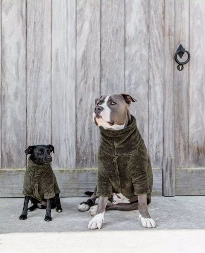 Teddy Fleece Dog Sweater Pine Green (L)