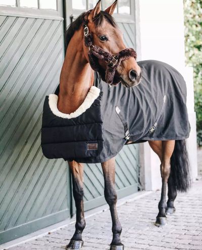 Horse BIB Winter Black (Full)