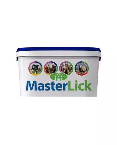 Masterlick HighMag (20kg)