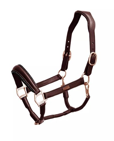 Moonless Night halter (Cob)
