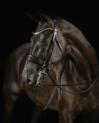 Deluxe Double Bridle Knight Power Black (Full)