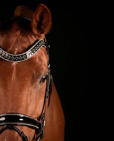 Johnny Silver Bridle Trens Mrs. Ros