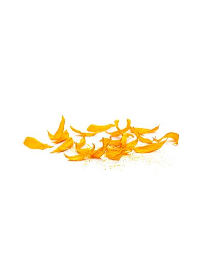 Sunflower Petal (30g sample)