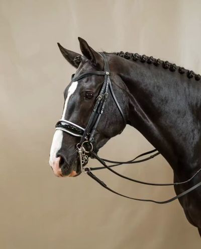Gesp hoofdstel met lakleer met witte vulling Dyon