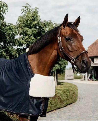 Borstbescherming Paard BIB borstbescherming Schapenvacht Kentucky Borstbescherming Paard BIB borstbescherming Schapenvacht Kentucky