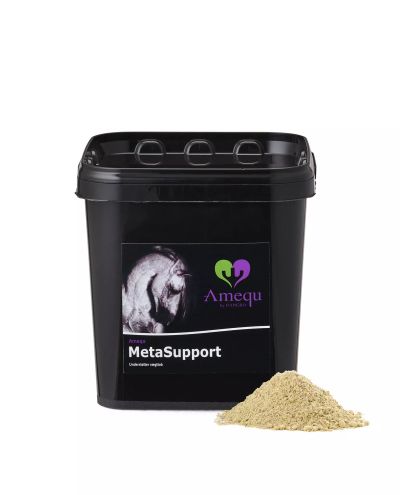 MetaSupport (3dl sample)